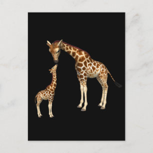 Moeder Giraffe en Baby Giraffe Briefkaart