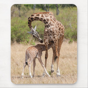 Moeder-giraffe en baby in Kenia Muismat