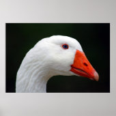 Moeder Goose Poster (Voorkant)