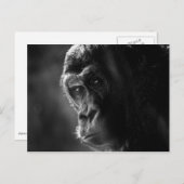 Moeder Gorilla Briefkaart (Voorkant / Achterkant)