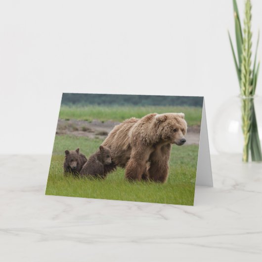 Moeder Grizzly Beer met tweelingkubussen Kaart (Voorkant)