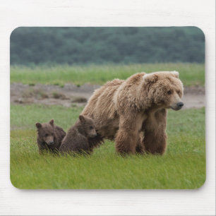 Moeder Grizzlybeer met Tweelingwelpen Muismat