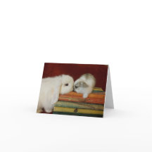 Moeder & het Konijntje van het Baby