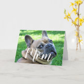 Moeder huisdier foto grappige Moederdag Schattige  Kaart (Gele Bloem)