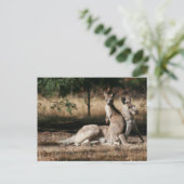 Moeder Kangaroo en Joey Relaxing Briefkaart (Staand voorkant)