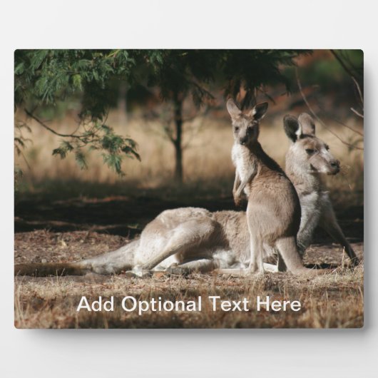 Moeder Kangaroo en Joey Relaxing Fotoplaat (Voorkant)