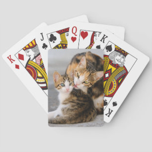 Moeder Kat houdt van Cute Kitten Animal Foto - Pokerkaarten