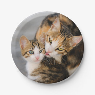 Moeder Kat houdt van Cute Kitten, Partij Papieren Bordje