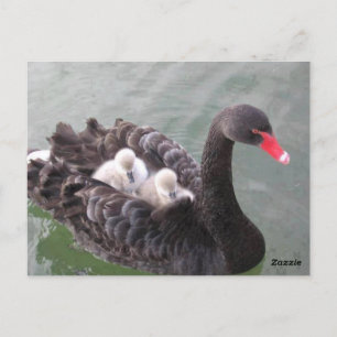 Moeder Liefde Ansichtkaart Briefkaart