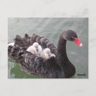 Moeder Liefde Postkaart