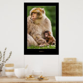 Moeder Macaque en Baby Poster (Keuken)