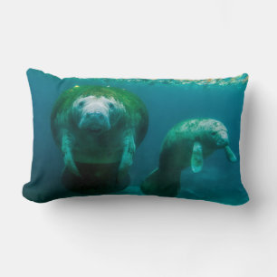 Moeder manatee met haar kalf in Crystal River Kussen