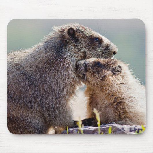 Moeder Marmot met Baby Muismat (Voorkant)