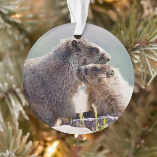 Moeder Marmot met Baby Ornament (Boom)
