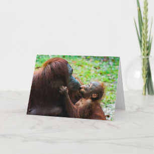 Moeder orang-oetan met baby kaart