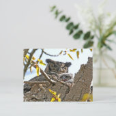 Moeder Owl en Baby in Nest Briefkaart (Staand voorkant)