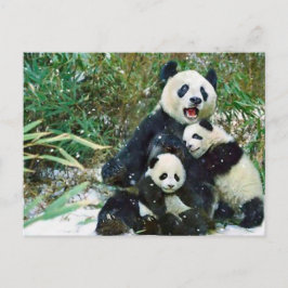 Moeder Panda Briefkaart