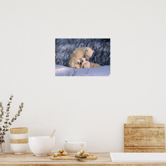 Moeder Polar-Beer met tweeling, Poster (Keuken)