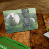 Moeder schaap en lam  kaart