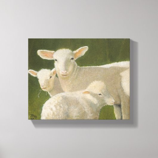 Moeder Sheep Canvas Afdruk (Voorkant)