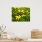 Moeder Shipton Moth Poster (Keuken)