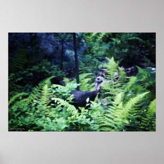 Moeder Turkije in het Poster Ferns (Voorkant)