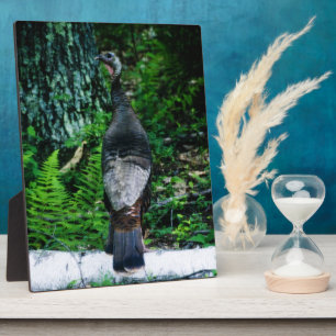 Moeder Turkije Plaque Fotoplaat