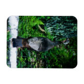 Moeder Turkije Vinyl Magnet Magneet (Horizontaal)