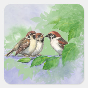 Moeder vogel voert haar jonge baby's aquarel vierkante sticker