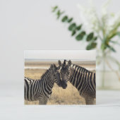 Moeder zebra en jonge zebra briefkaart (Staand voorkant)