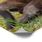 Moeder zou zijn als poster (Hoek)