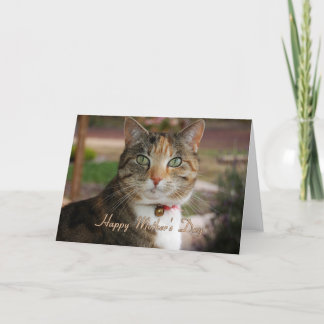 Moederdag Algemeen Kaart