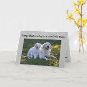 Moederdag Beste Moeder Ooit Goud Retriever Hond Kaart (Gele Bloem)