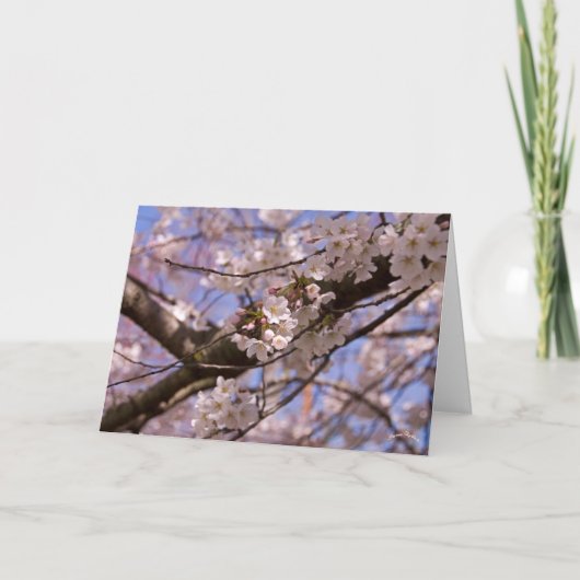 Moederdag bloesems kaart (Voorkant)
