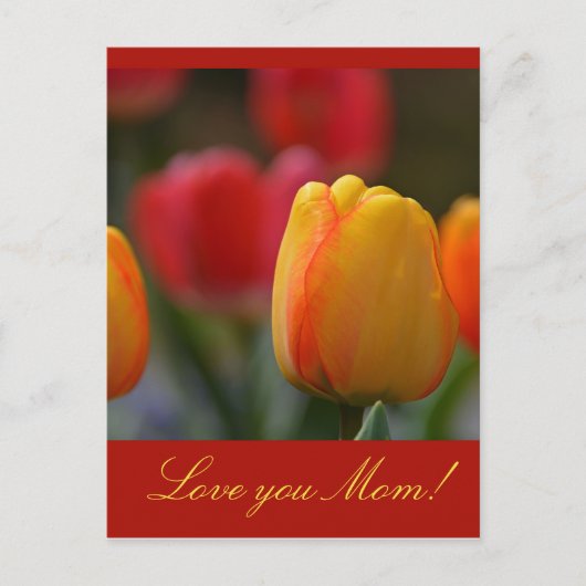 Moederdag Briefkaart (Voorkant)