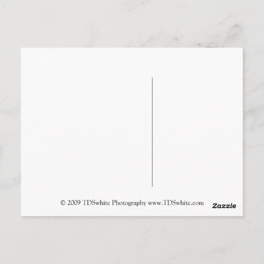 Moederdag Briefkaart (Achterkant)