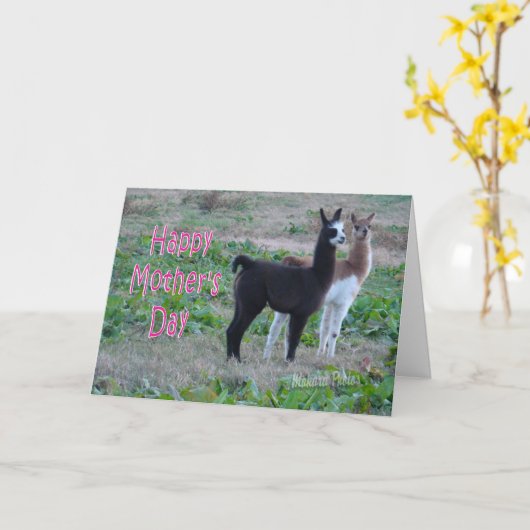 Moederdag Card-Llama kinder Kaart (Gele Bloem)