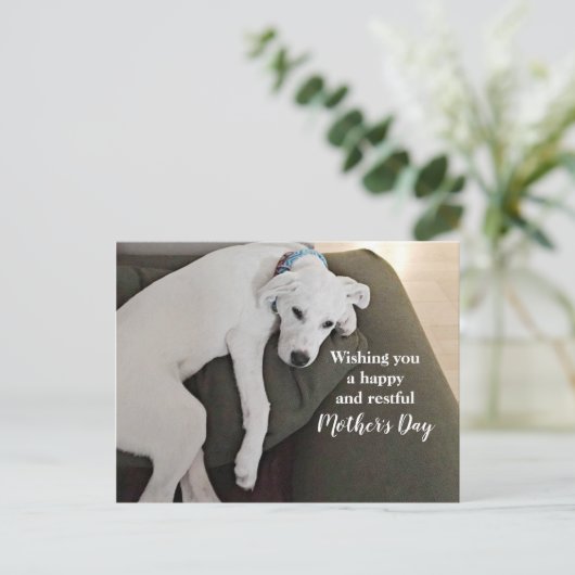 Moederdag Cute Exhausted White Puppy Dog Holida Feestdagenkaart (Staand voorkant)