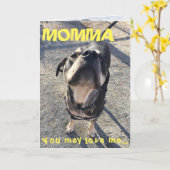 Moederdag die van Hond likken Kaart (Gele Bloem)