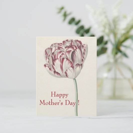 Moederdag - fijn wit en rood tulp briefkaart (Staand voorkant)