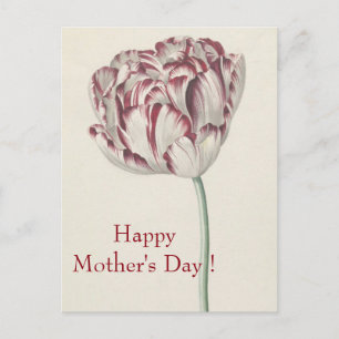 Moederdag -  fijn wit en rood tulp briefkaart