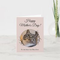 Moederdag Foto Kat Moeder Beste Moeder Ooit Huisdi