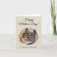 Moederdag Foto Kat Moeder Beste Moederdag Ter Were