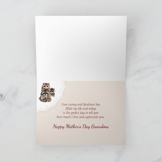 Moederdag Grandma Cute Raccoon Kaart (Binnen)