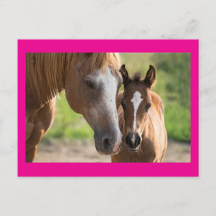 Moederdag Horse and Colt Holiday Briefkaart