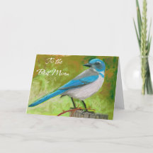 Moederdag Kaart Blue Jay