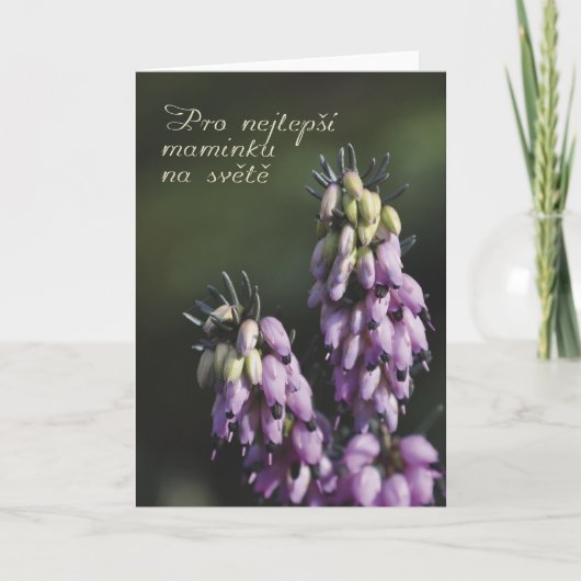 Moederdag kaart in het Tsjechisch (Voorkant)