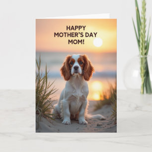 Moederdag kaart met gouden zonsondergang en hond