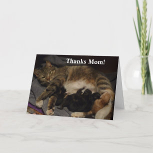 Moederdag kattenbakvulling kaart