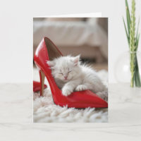 Moederdag Kitten Slapend in een Rode Schoen